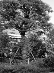 江宁注册公司